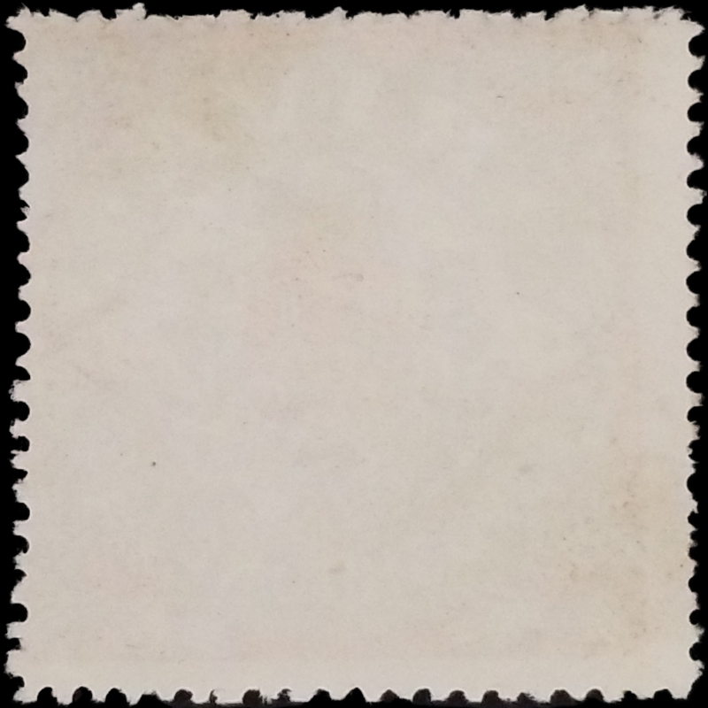 1897 Riva del Garda Exhibition Cinderella Poster Stamp - Trentino Italy