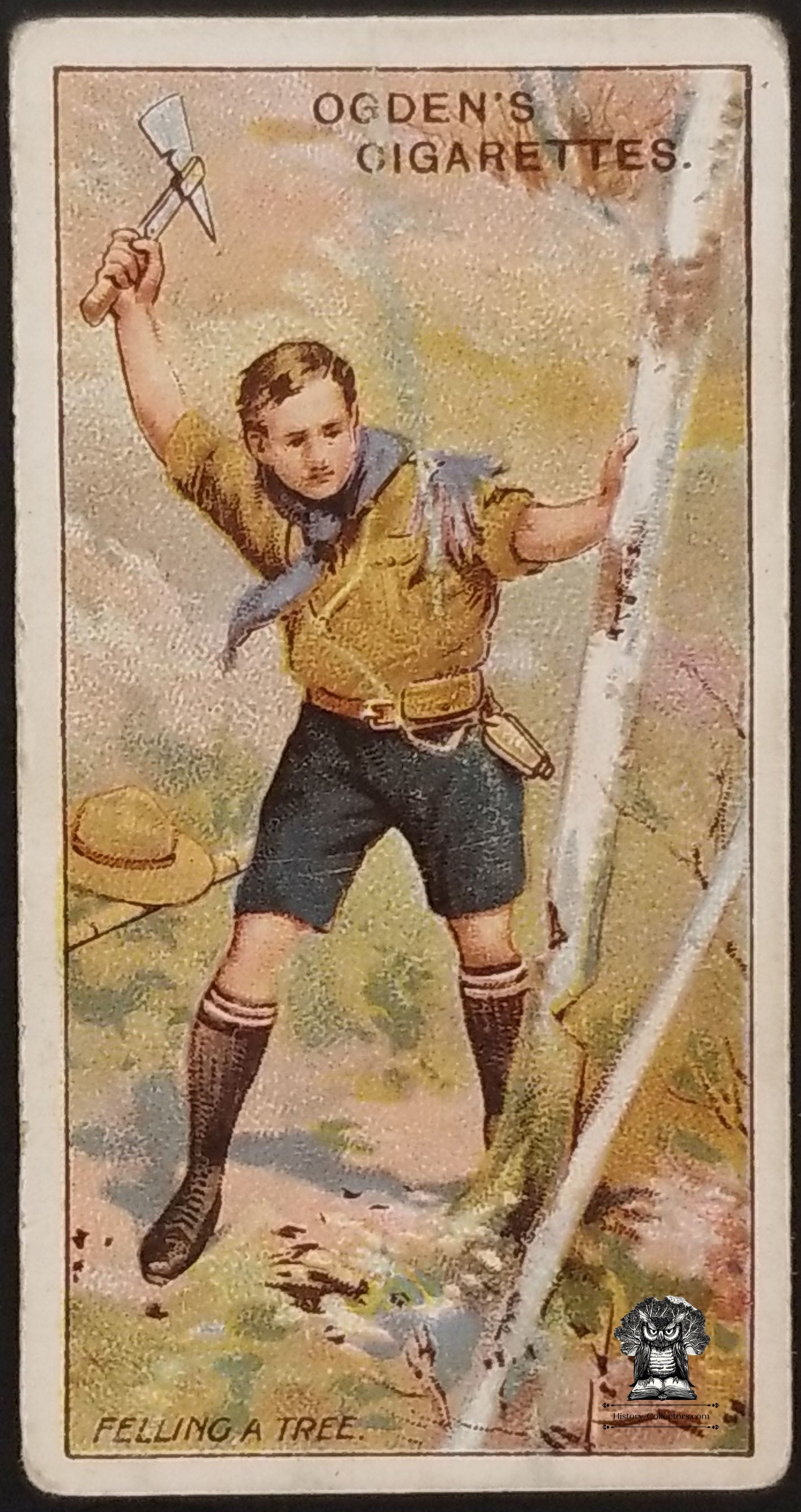 1911 Ogden's Boy Scouts 1st Series Blue Back Tobacco Card #21 - Scout Felling A Tree