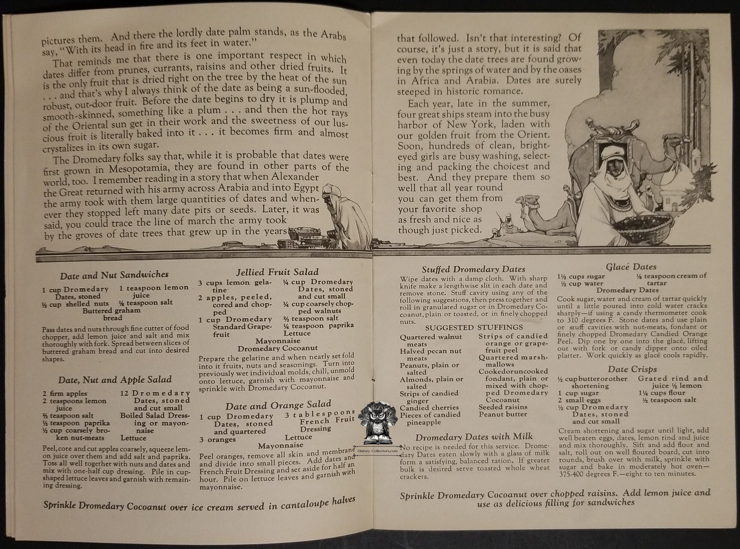1925 Hills Brothers Dromedary Advertising Foods From Sunny Lands Recipe Booklet - WJ Lund Williamson NY - Orient Indies Dates Figs Coconut Grapefruit