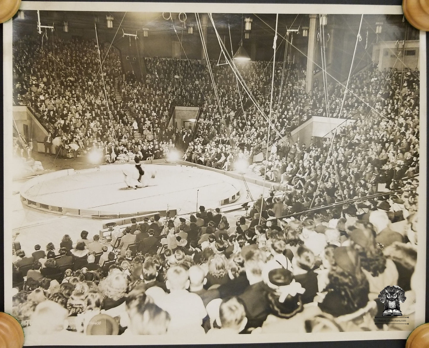 c1940s Big Top Circus Photograph - Horse Equestrian Ring Trick Stunt Riding Tent - 10x8