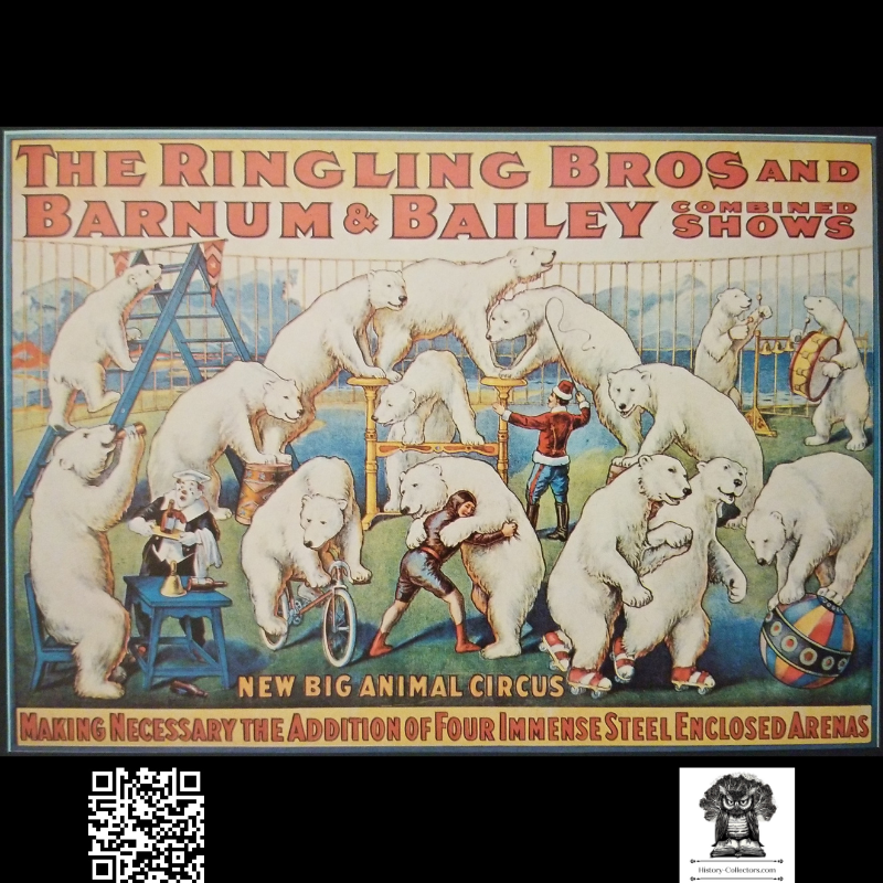 1976 Ringling Bros & Barnum Bailey Circus Print Clipping - Polar Bear Act - Classic Poster Style Reproduction - Ready For Framing