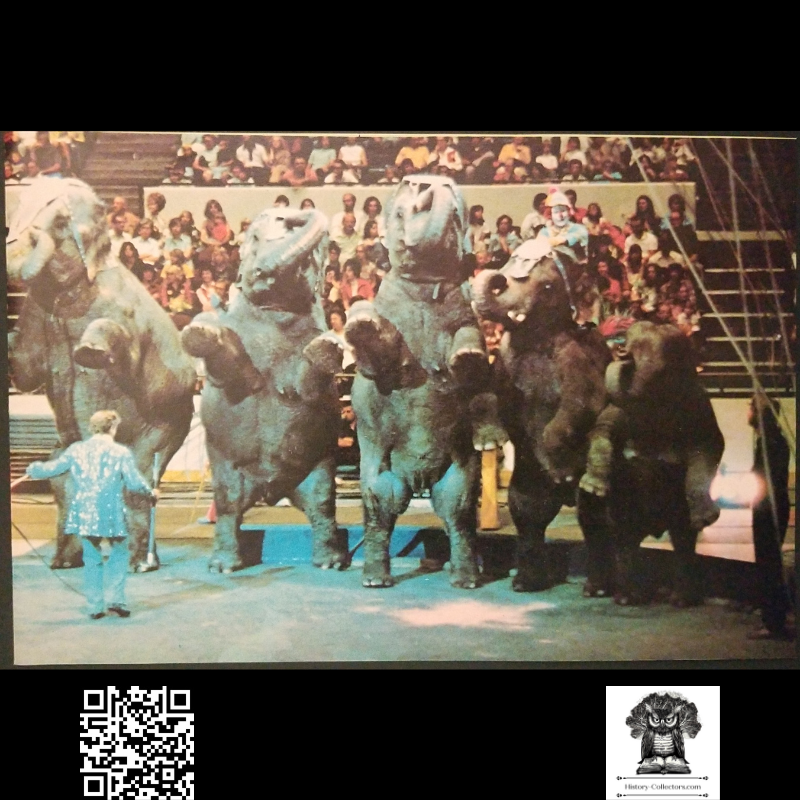 1976 Ringling Bros & Barnum Bailey Circus Trained Elephant Act Print Clipping - Ready For Framing