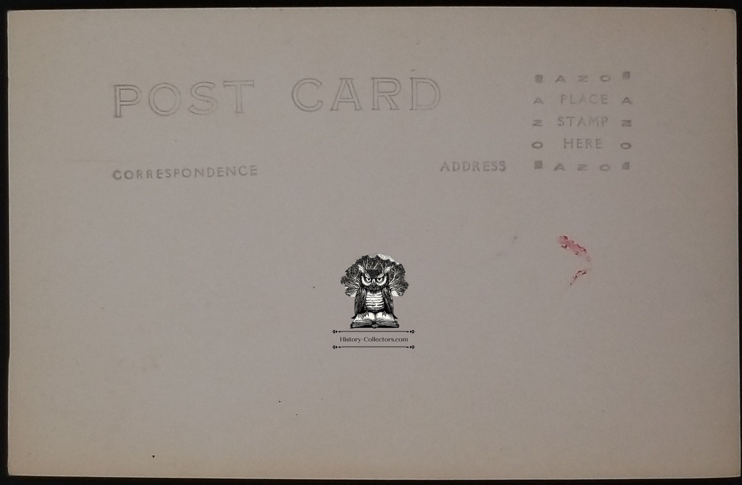 RPPC Picture Postcard - Fern Forest Hawaii National Park District of Puna - AZO Stamp Box