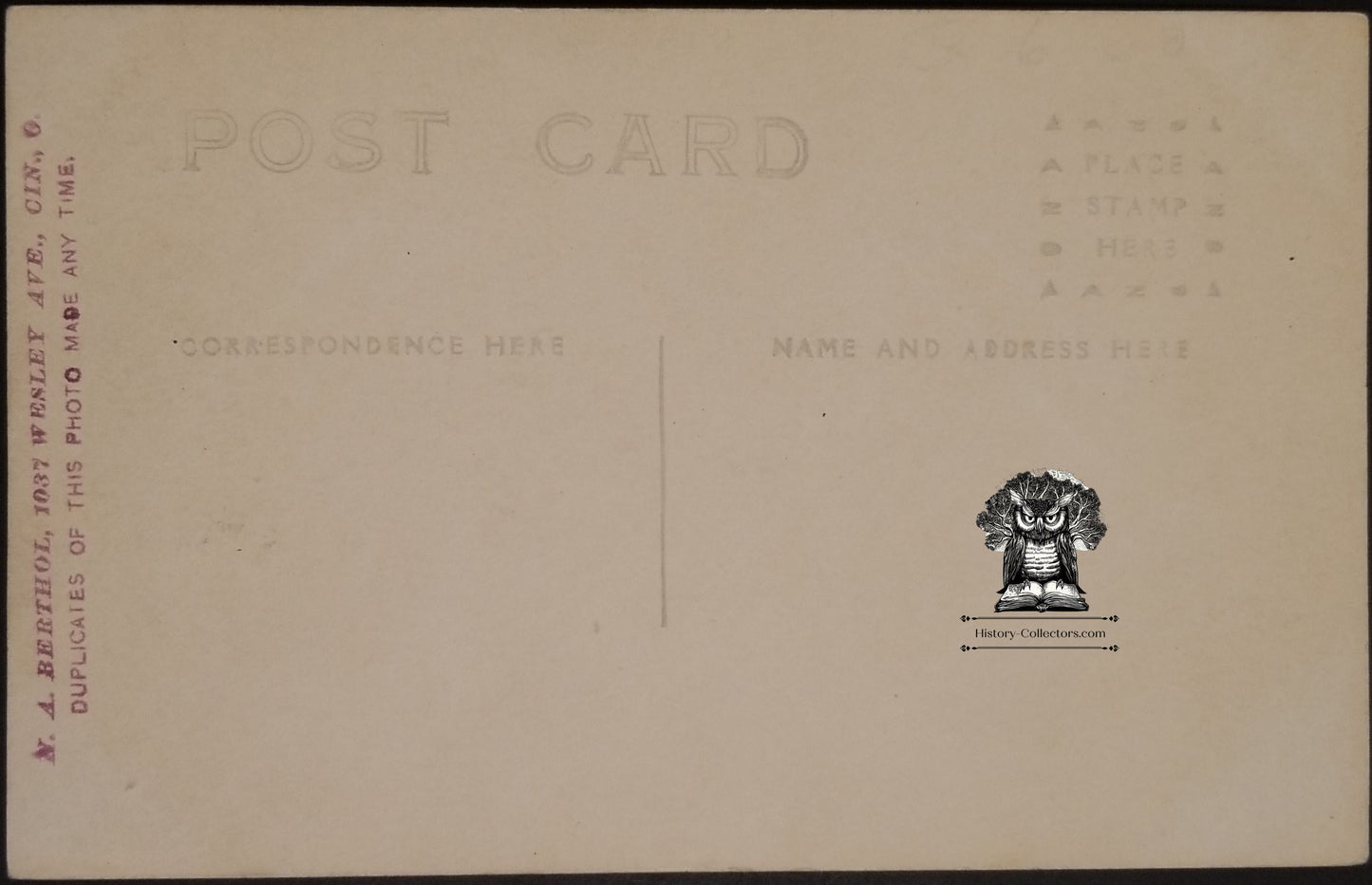 RPPC Picture Postcard - Man Horse Drawn Carriage Buggy - N. A. Berthol Cincinnati Ohio - Equine Show Horse Pose