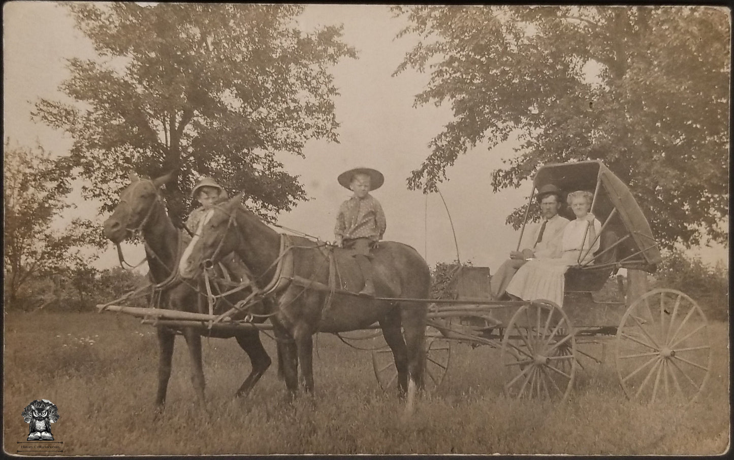 RPPC Picture Postcard - Family Horse Drawn Buggy Carriage Victorian Fashion Sunday's Best - Harness Wooden Yoke Rural Country Scene