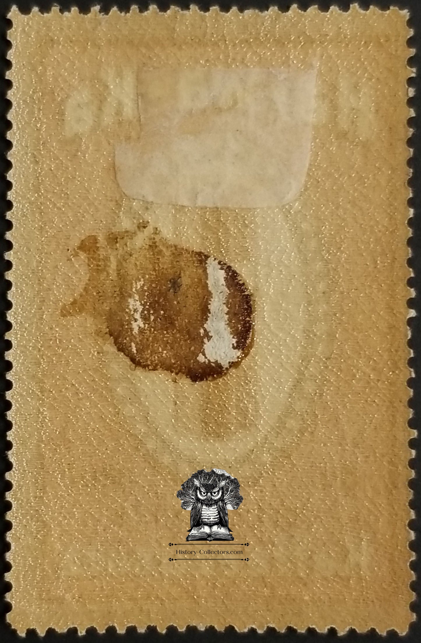 Vintage German Ha-Wa-Ka Kaffee Coffee Additive Cinderella Poster Stamp - Germany