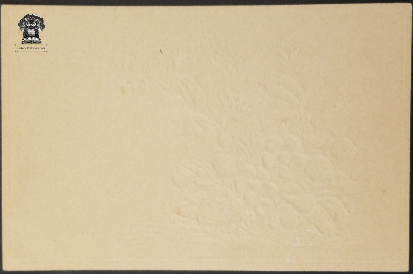 Vintage German Trade Card Embossed Spring Blooming Flowers Strawberries