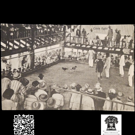 c1910 Cock Fight Philippine Islands Postcard - J. Beck Photographer - American Colonial Period