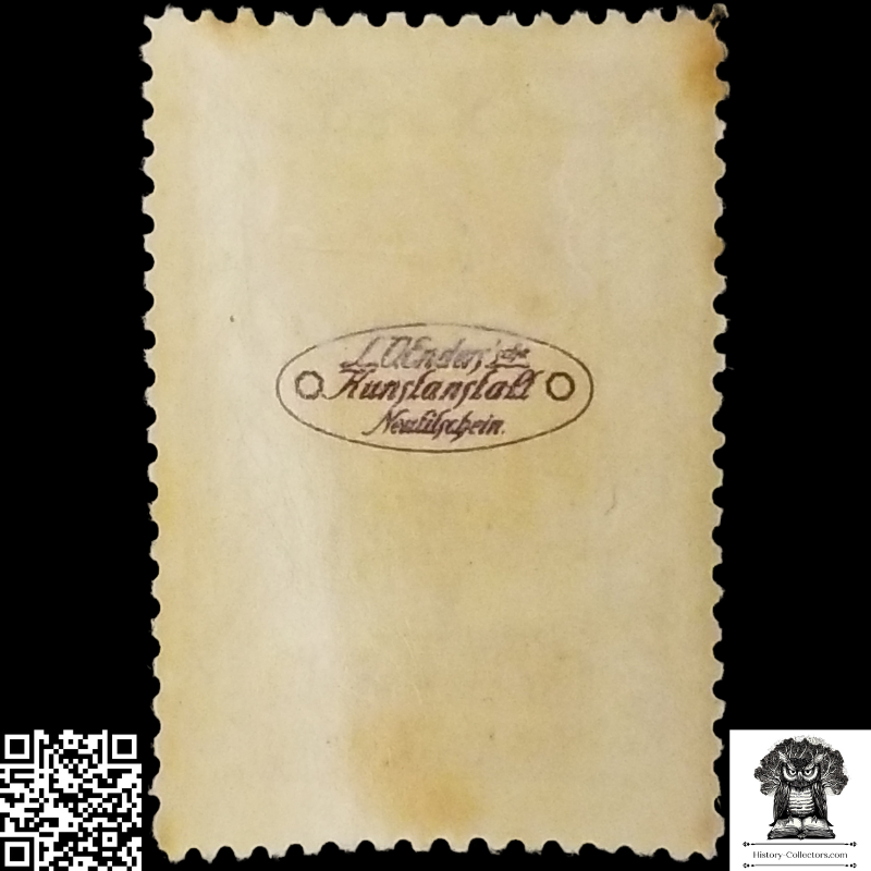 c1918 Bosnia Herzegovina Austro-Hungarian Cinderella Poster Stamp - Cultural Promotion