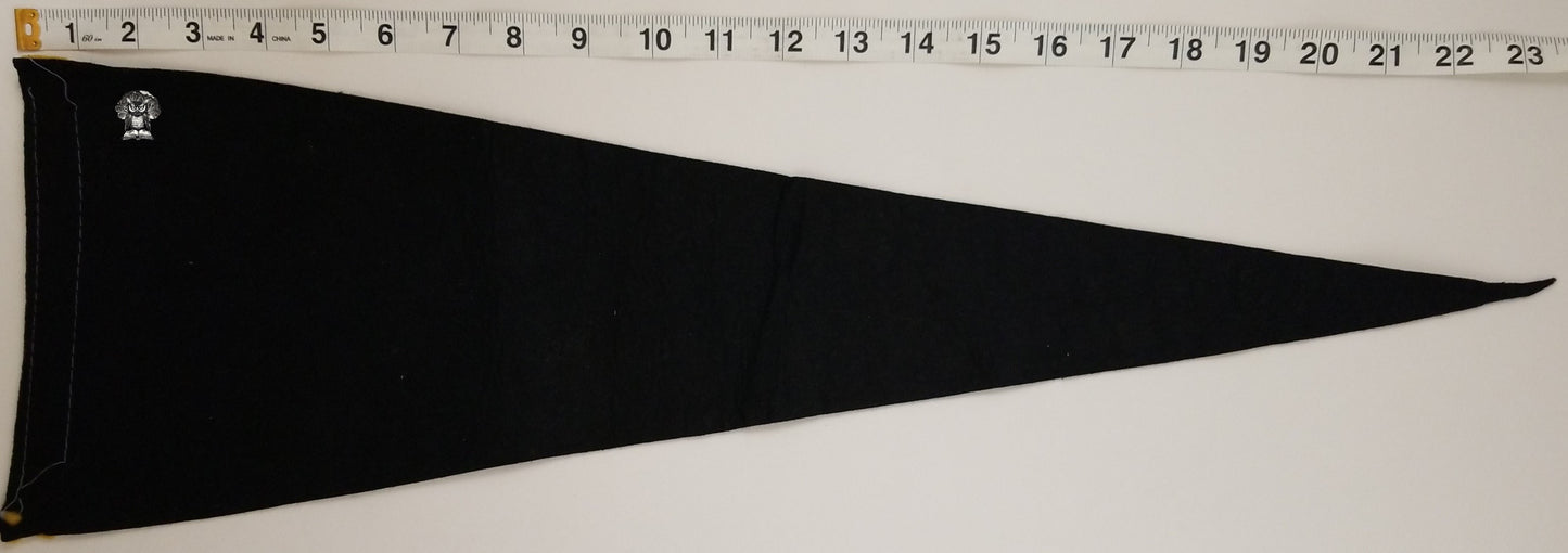 c1920s Ringling Bros and Barnum & Baily Circus Souvenir Pennant
