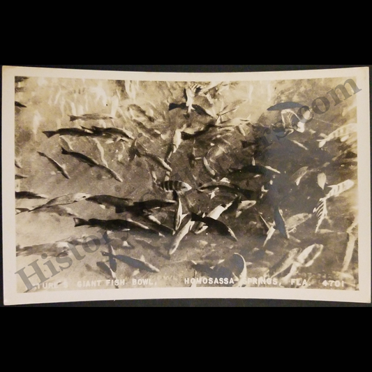 c1950 Nature's Giant Fish Bowl Homosassa Springs Florida RPPC Real Photo Postcard - Kodak Stamp Box - Post WWII Era