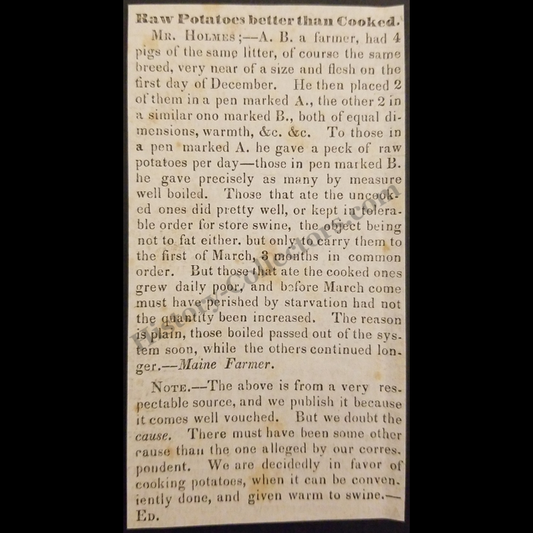 1842 Maine Farmer Citizen Science Print Clipping | Raw Vs Cooked Potatoes | Swine Pig Feeding | Antebellum Period | Ready For Framing