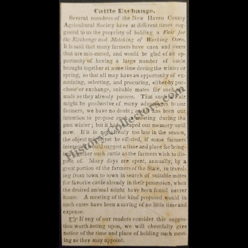 1842 Agricultural Society Cattle Exchange Print Clipping | New Haven Connecticut | Antebellum Era | Ready For Framing