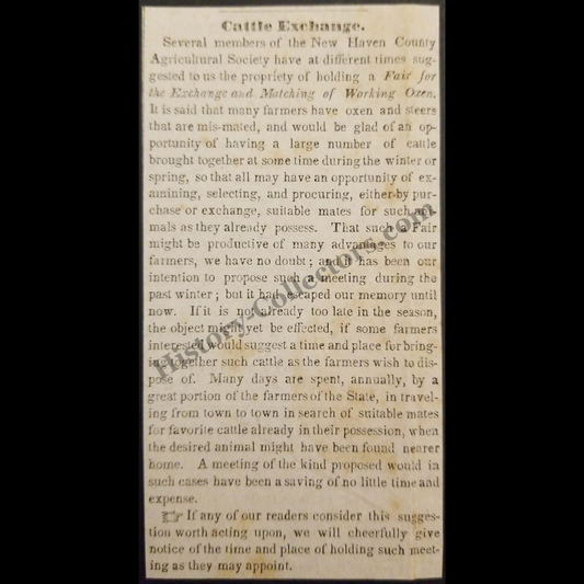 1842 Agricultural Society Cattle Exchange Print Clipping | New Haven Connecticut | Antebellum Era | Ready For Framing