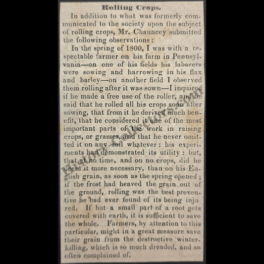 1842 Rolling Crops Pennsylvania Agricultural Print Clipping | Flax Barley Cultivation | Horticulture | Antebellum Era | Ready For Framing