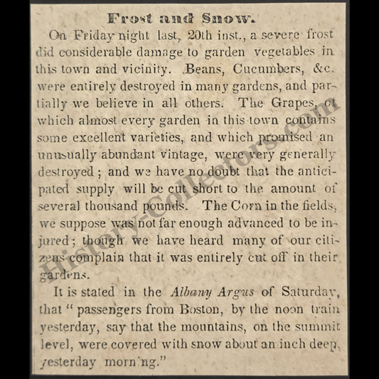 1842 Severe May Frost Crop Damage Print Clipping | Albany Argus | May 20 | Antebellum Era | Ready For Framing