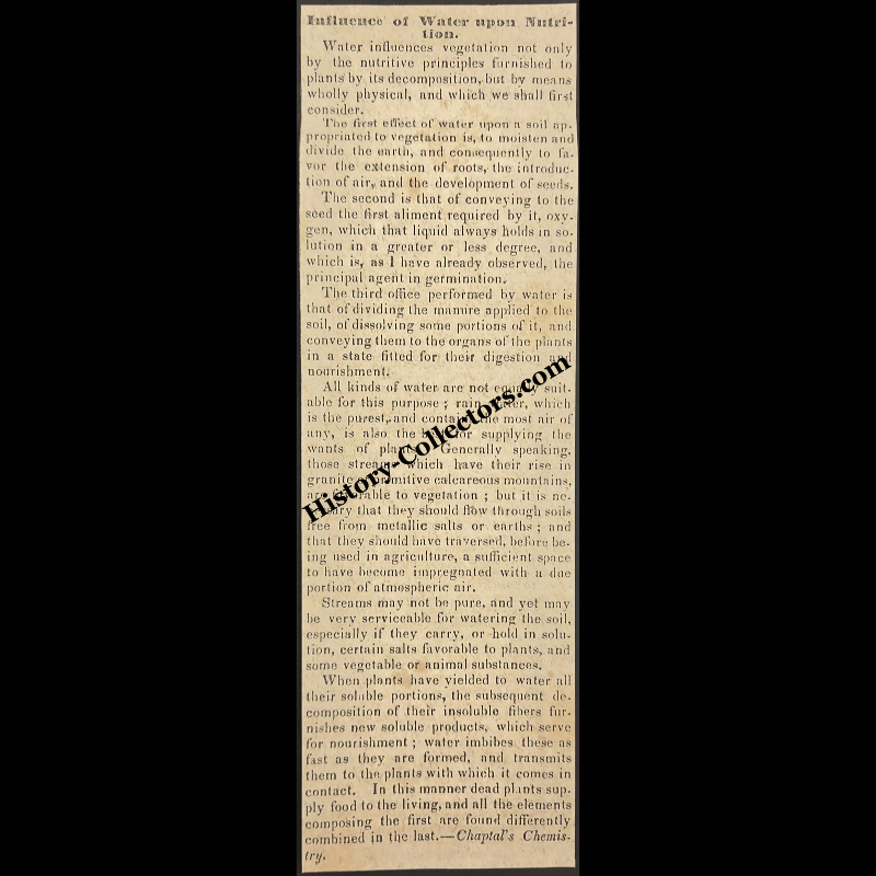1842 Influence Of Water Upon Nutrition Agricultural Print Clipping | Seed Germination | Horticulture | Antebellum Era | Ready For Framing