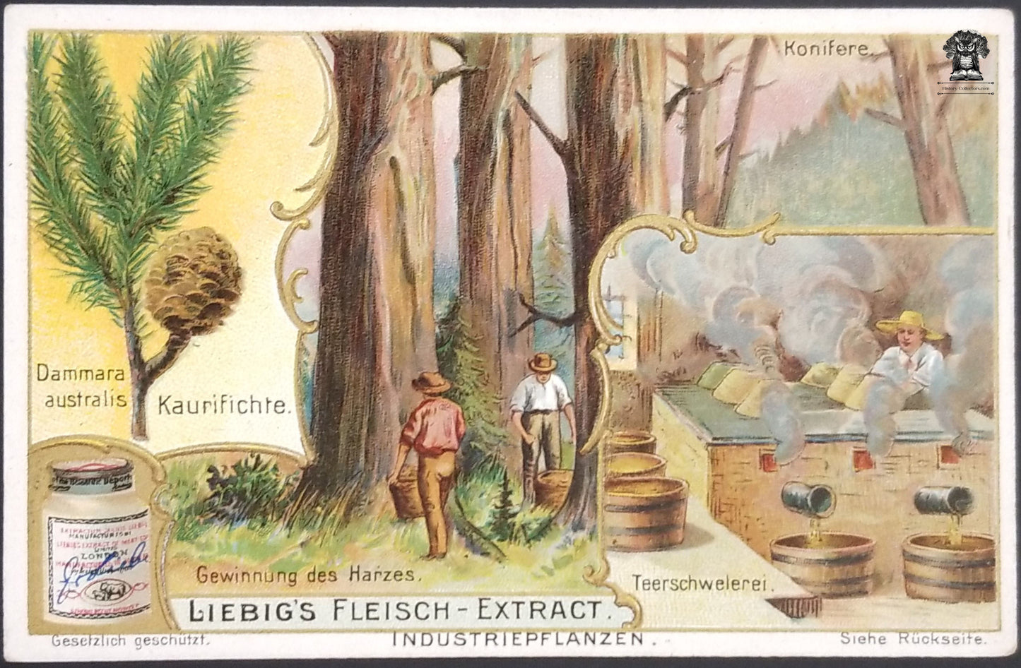 1880's German Liebig's Extract Advertising Trade Card - Spruce Resin Extraction