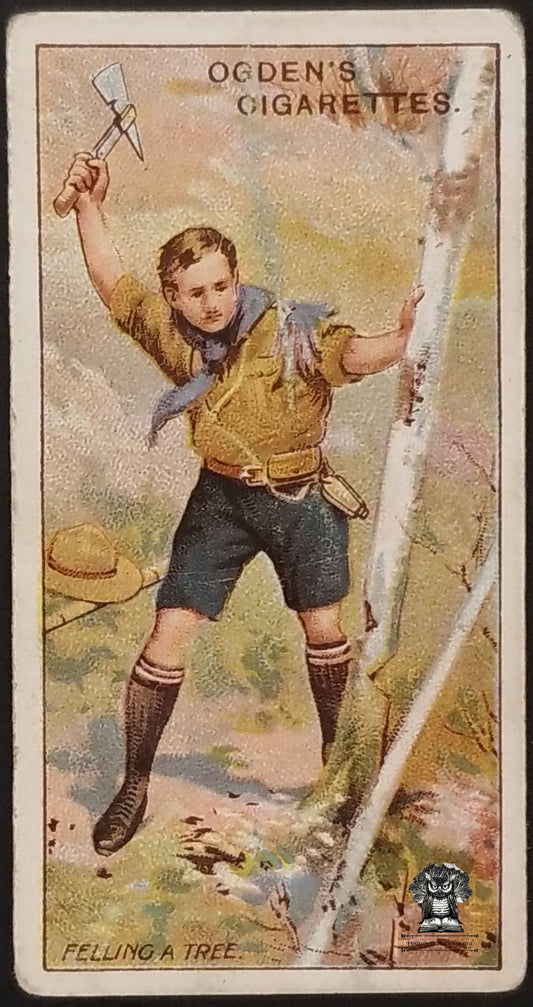 1911 Ogden's Boy Scouts 1st Series Blue Back Tobacco Card #21 - Scout Felling A Tree