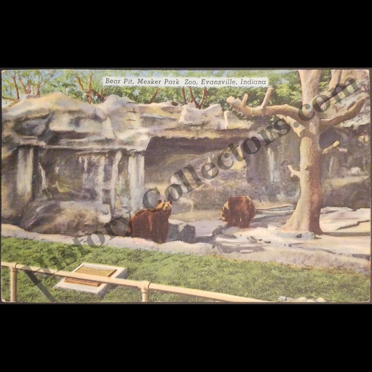 1944 Bear Pit Mesker Park Zoo Evansville Indiana Linen Postcard - Master Kenneth Gordon 420 South Richmond Street Fleetwood Pennsylvania - Free Military Postal Cancel - World War II Era - Ready For Framing