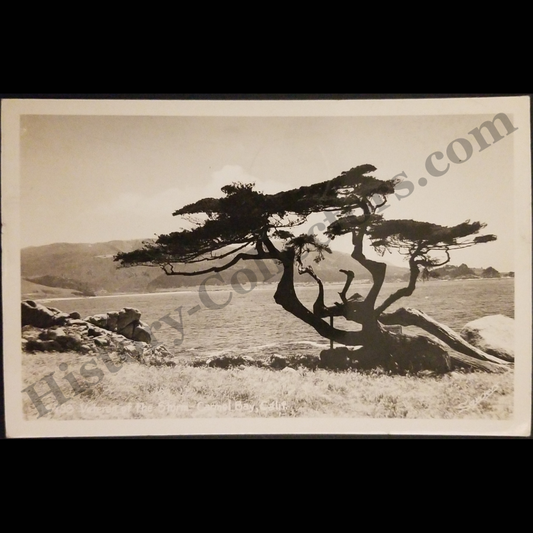 1946 Lone Cypress Veteran Of The Storm RPPC Real Photo Postcard - Carmel Bay California - Military Free Franking Monterey California - Lt. Col. Redman - Inspector General’s Department - Washington D.C. - EKC Stamp Box - Post WWII Era