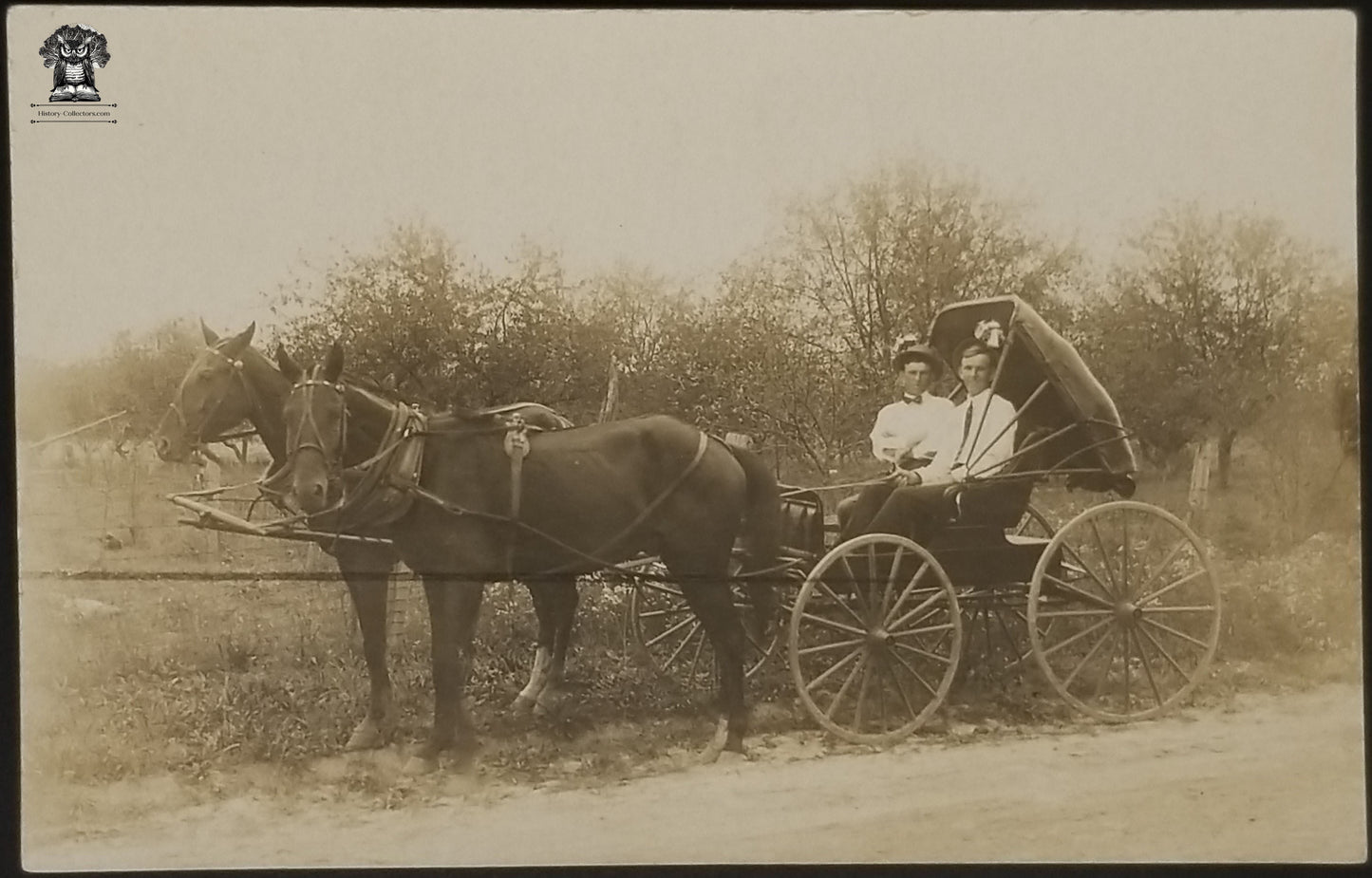 RPPC Picture Postcard - Adult Male Men Horse Drawn Buggy Carriage Religious Missionaries Church