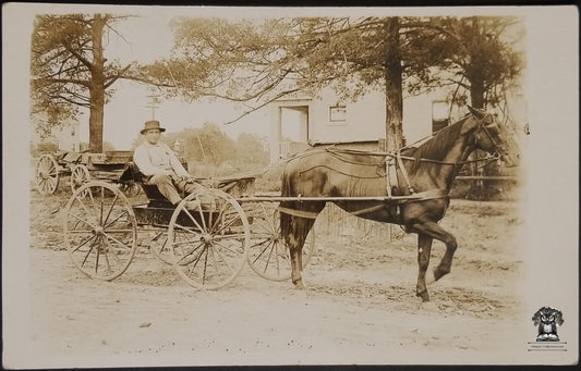 RPPC Picture Postcard - Man Horse Drawn Carriage Buggy - N. A. Berthol Cincinnati Ohio - Equine Show Horse Pose