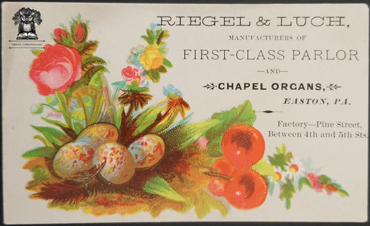 Riegel & Luch Advertising Trade Card - Parlor Pianos Chapel Organs Easton PA