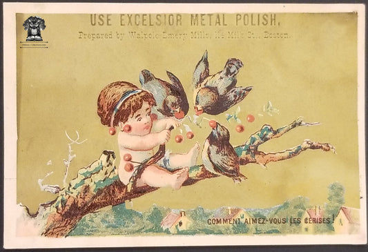 c1880s Excelsior Metal Polish Advertising Trade Card - Walpole Emery Mills Boston