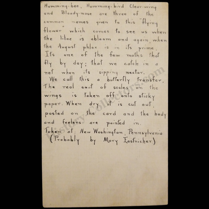 c1900 Hummingbird Clearwing Moth Transfer Notecard - Handmade Folk Entomology Artifact - E.P. Felt Quote - New Washington Pennsylvania - Mary Eastricher