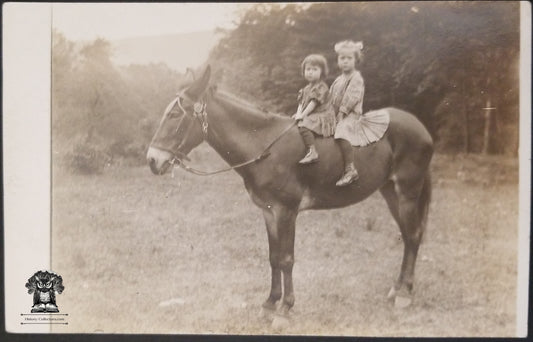 c1904 RPPC Picture Postcard - Two Girls on Equine Horseback - Pauline & Nellie Masterson - CYKO Stamp Box