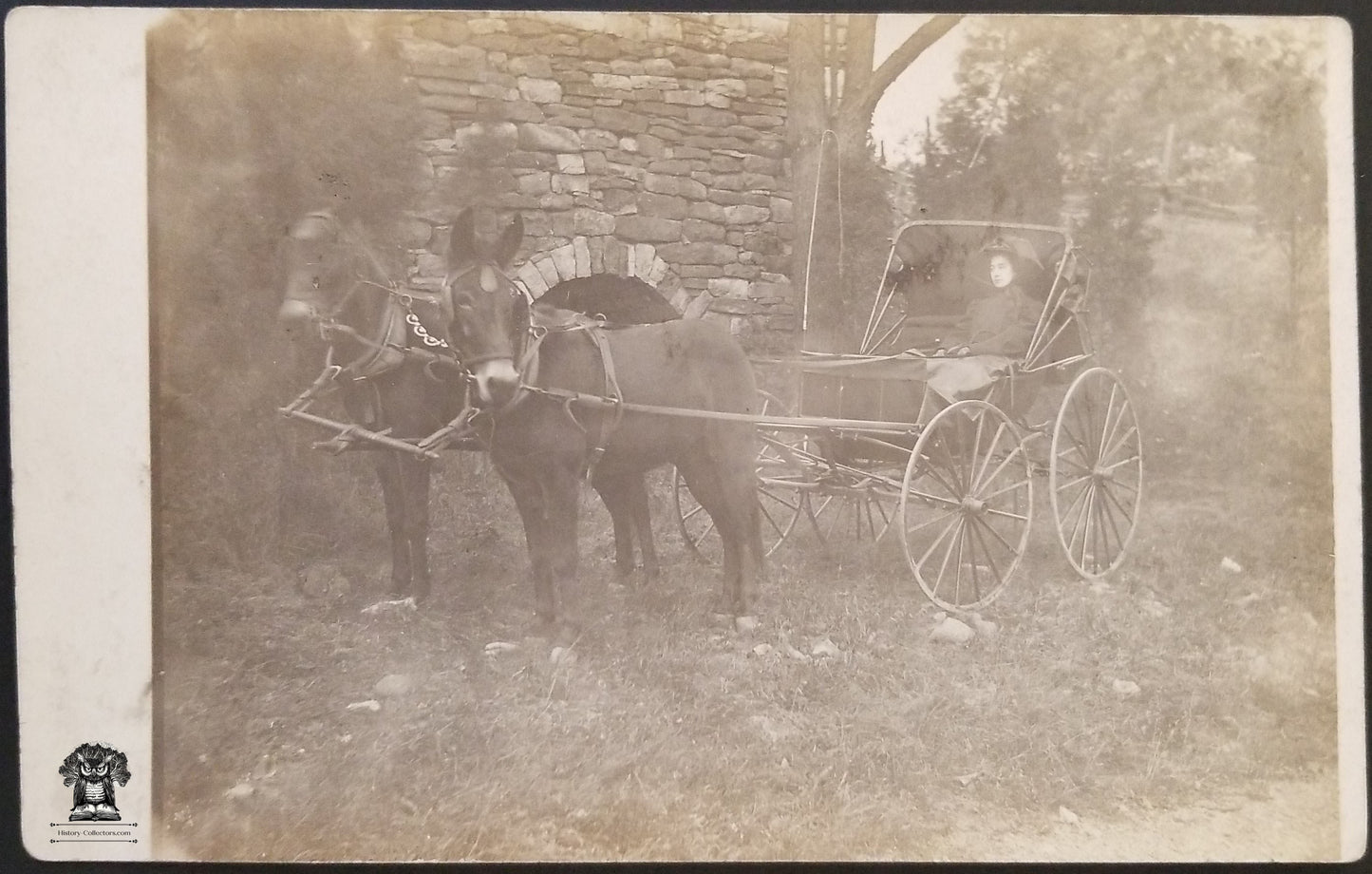 c1904 RPPC Picture Postcard - Woman In Carriage Buggy With Donkeys Mules - CYKO Stamp Box