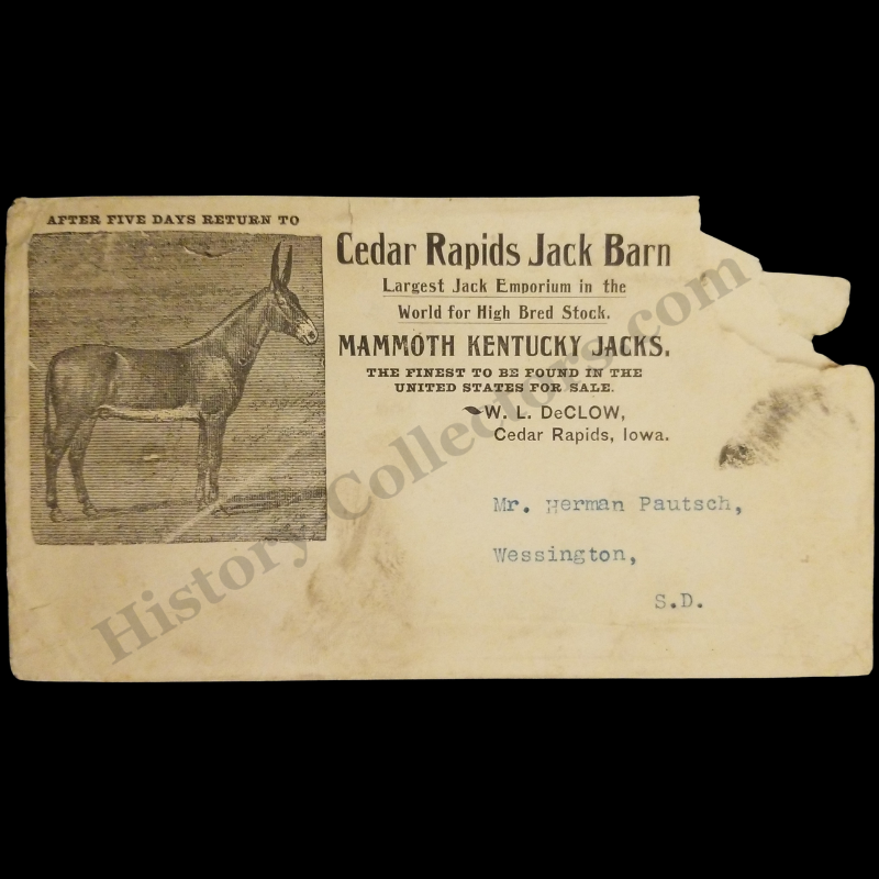 c1905 Cedar Rapids Jack Barn Postal Cover - W. L. DeClow - Mammoth Kentucky Jacks - Iowa - Herman Pautsch Wessington South Dakota - Progressive Era - Ready For Framing