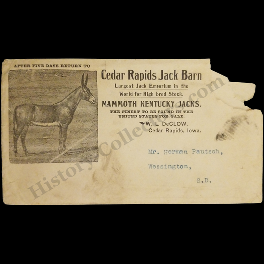 c1905 Cedar Rapids Jack Barn Postal Cover - W. L. DeClow - Mammoth Kentucky Jacks - Iowa - Herman Pautsch Wessington South Dakota - Progressive Era - Ready For Framing