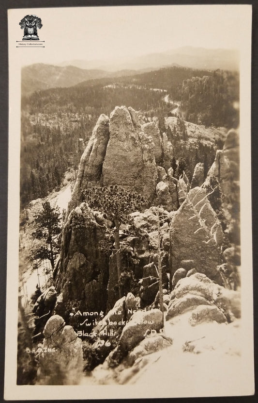 c1926 RPPC Picture Postcard - Black Hills South Dakota National Forest Great Plains Lakota - AZO Stamp Box